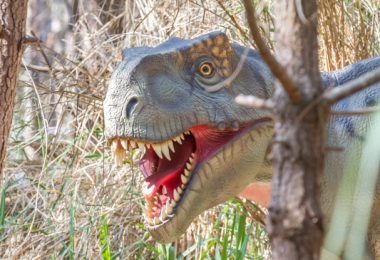 Dino Parque LOURINHÃ